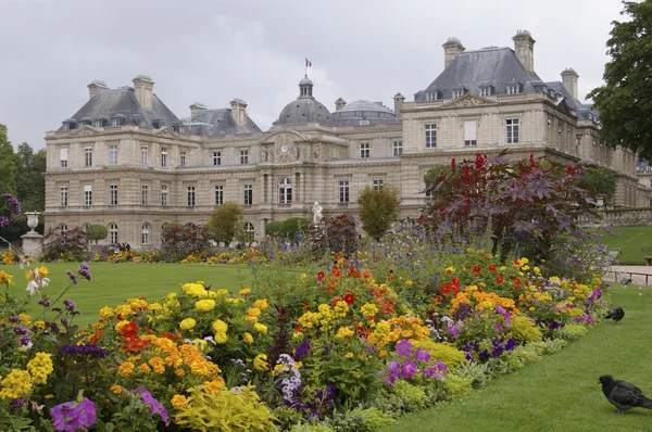 Park in paris jardin luxembourg — Stock Photo, Image