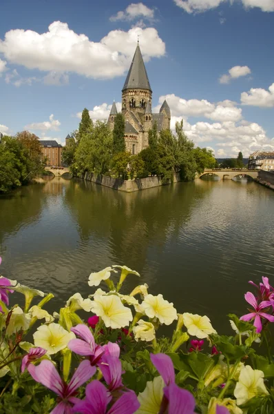 stock image Moselle riverin metz flower in focus