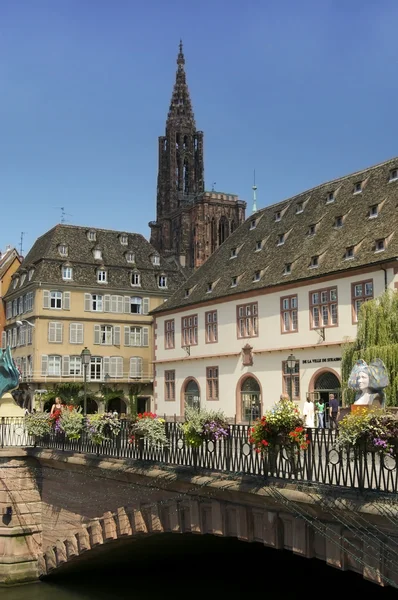 Brug in de oude kathedraal van de stad Straatsburg — Stockfoto