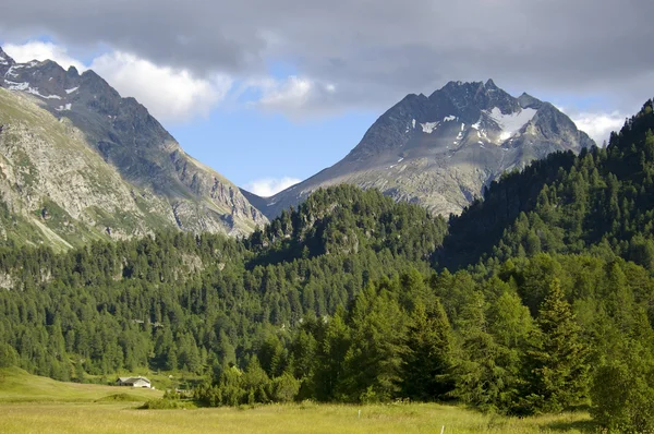 İsviçre Alpleri'nde dağ manzarası — Stok fotoğraf