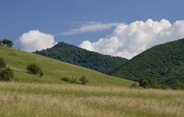 Campo e colina — Fotografia de Stock