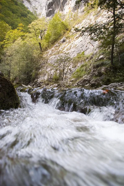 山中の石灰岩の渓谷川 — ストック写真