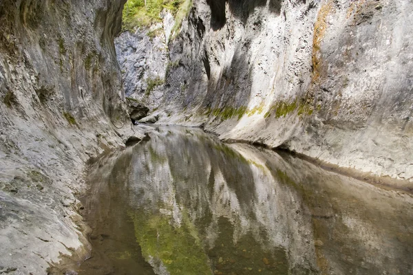 Limestone gorge river in mountains — Stock Photo, Image