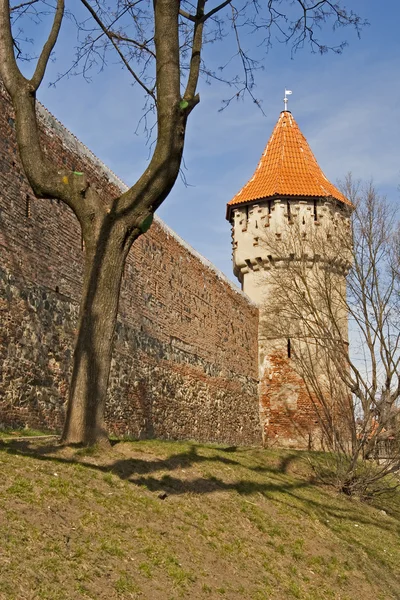 Town wall and tower in Sibiu — Stock Photo, Image