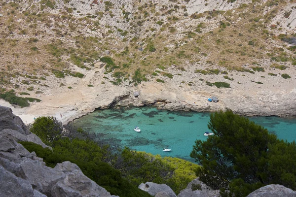Formentor cove in majorca — Stock Photo, Image