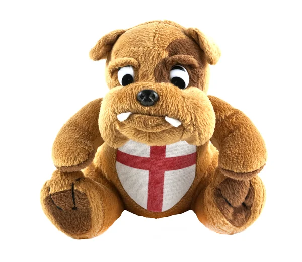 Bulldogge britisch — Stockfoto