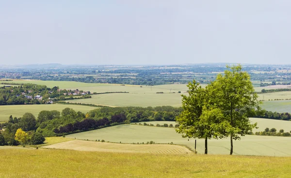영국 시골 — 스톡 사진