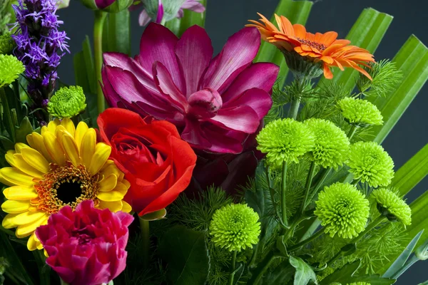 stock image Tropical bunch