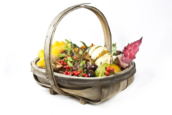 Stock image Autumn basket