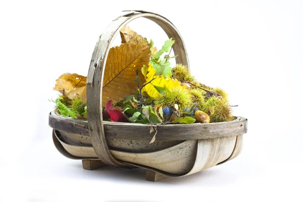 stock image Autumn basket