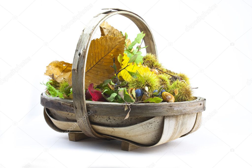 Autumn basket