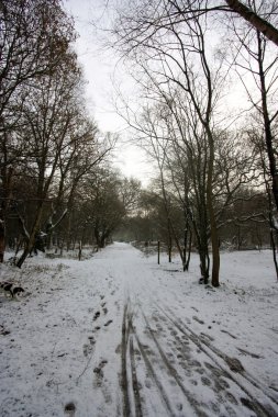 Snowy path clipart