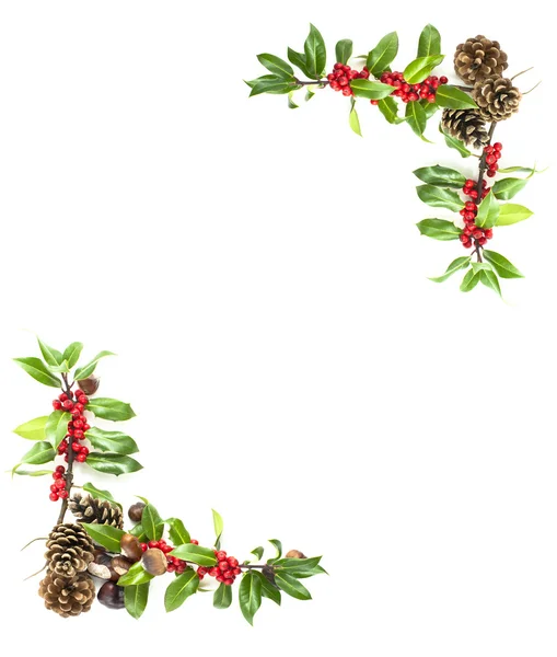 Holly and red berries border — Stock Photo, Image
