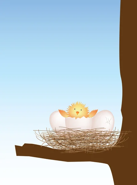 Baba tavaszi Húsvét chick keltető — Stock Fotó