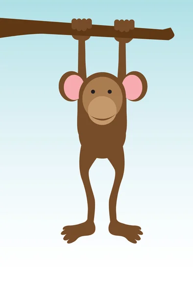 Mono soltero —  Fotos de Stock