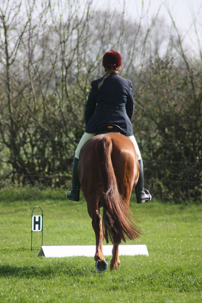 Horse and rider from behind