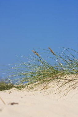 Dunes clipart