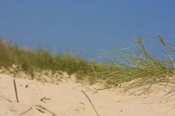 stock image Sand dunes