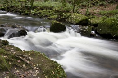 Waterfall in cornwall clipart