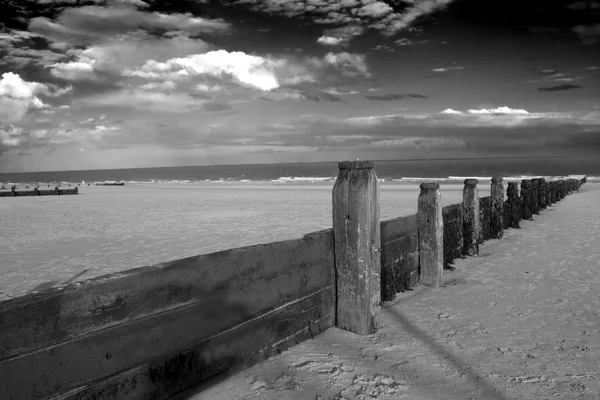 Madera de playa — Foto de Stock