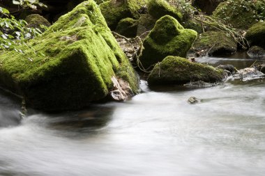 Rocks in river clipart