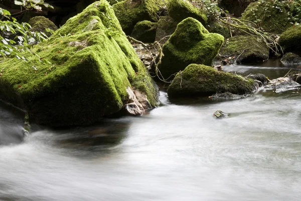 Rocks in river — Stock Photo, Image