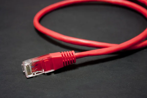 Крупним планом мережевий кабель Ethernet — стокове фото