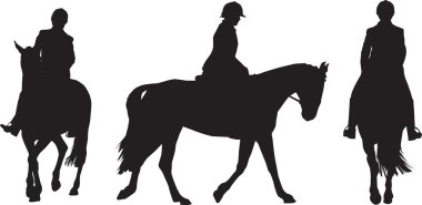 Equestrian rider clipart