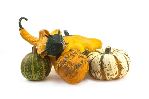 Autumn gourds and pumpkins — Stock Photo, Image