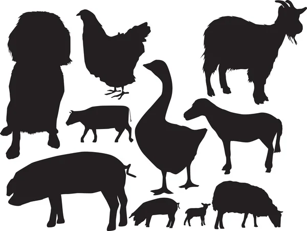 농장 동물 sihouette 세트 — 스톡 사진