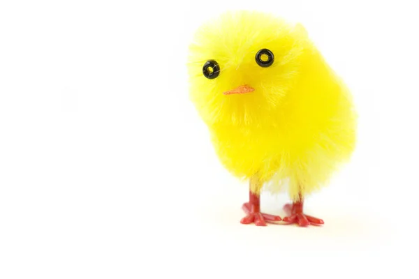 stock image Easter chick