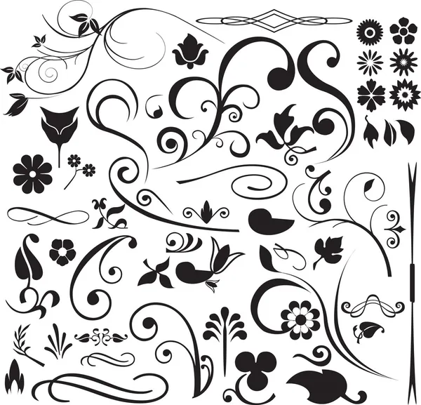 Floral and swirls — Stock Vector