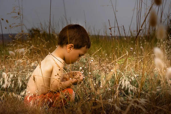 Malé dítě v přírodě — Stock fotografie