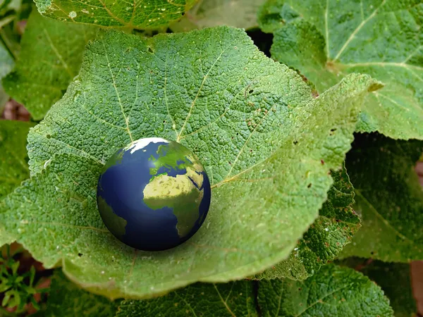 Green earth — Stock Photo, Image