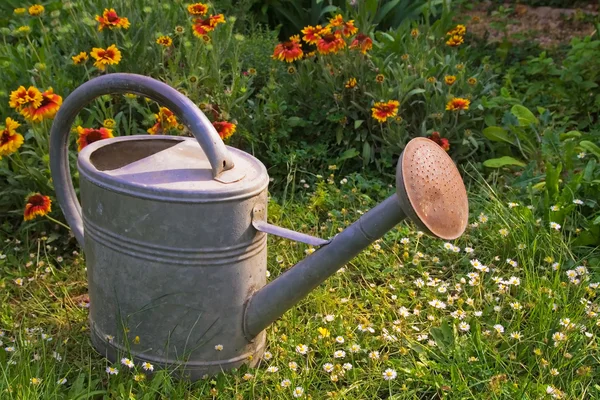 Puszka wody w ogrodzie — Zdjęcie stockowe
