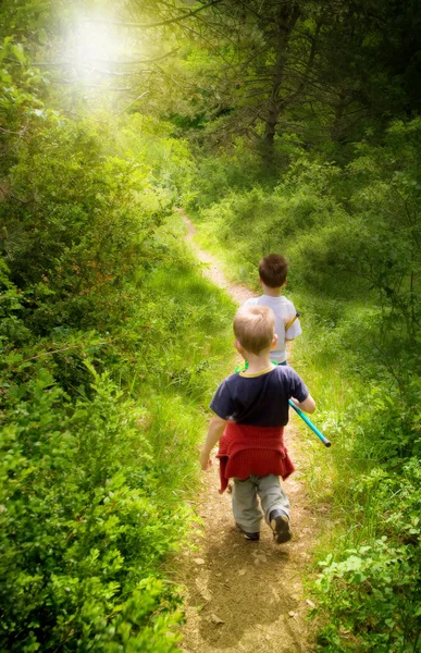 Young children walking in forest Stock Photo