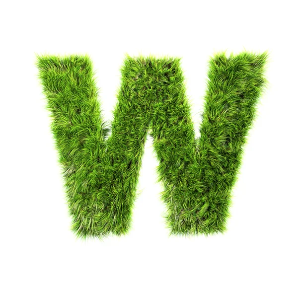 Трава буква - W - Верхний корпус — стоковое фото
