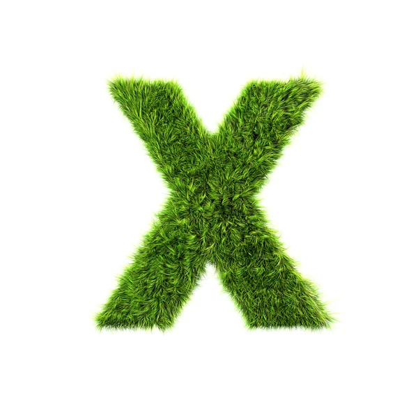 草を大文字-の x — ストック写真