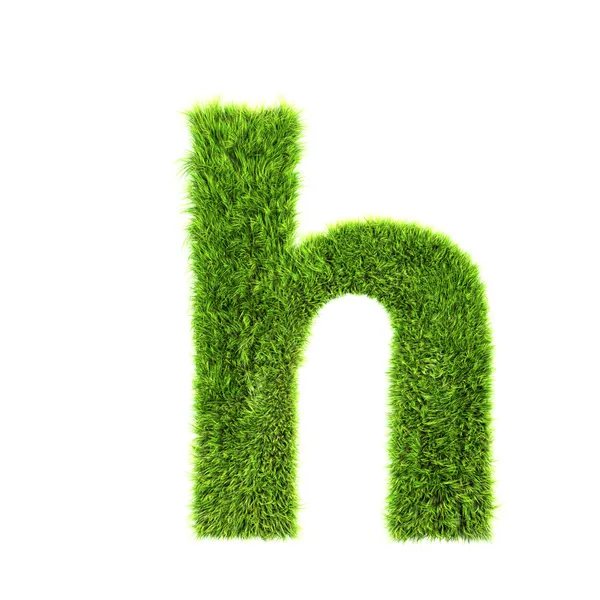 Gräs bokstaven - h — Stockfoto