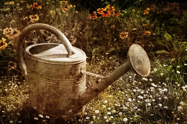 stock image Vintage watering can picture