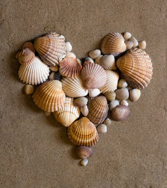 Shell heart on sand clipart