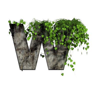 Green ivy on 3d stone letter - W clipart