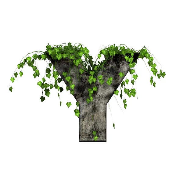 Ivy a 3D-s kő-levél - zöld y — Stock Fotó