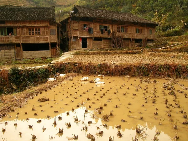 Село з дерев'яними хатинками в Китаї — стокове фото