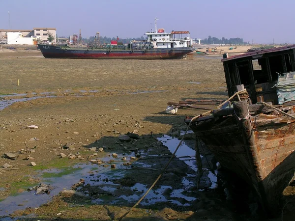 stock image During low tide