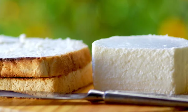 Белый сыр . — стоковое фото