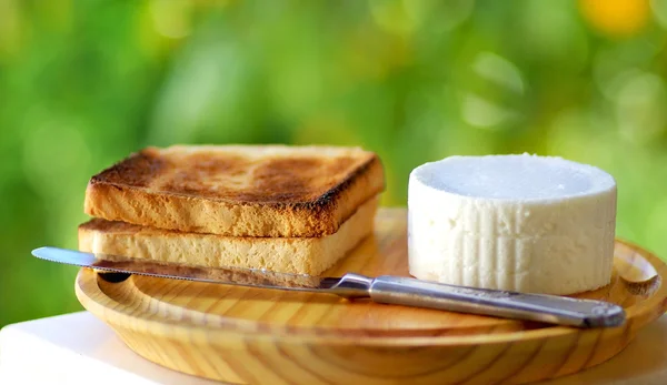 신선한 백색 치즈 . — 스톡 사진