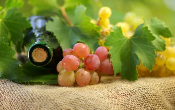 Botella de vino y uvas . — Foto de Stock