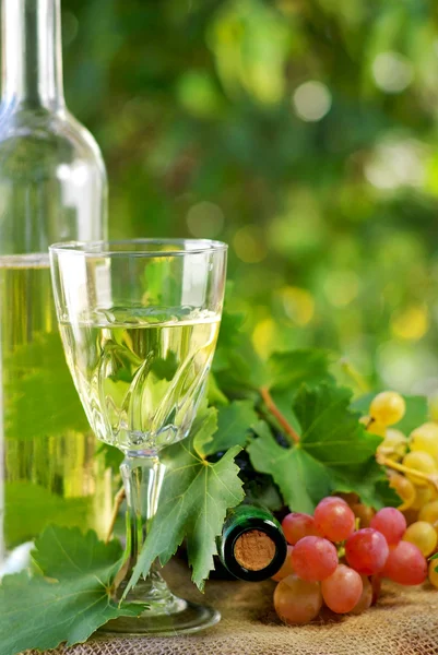 Botella de vino y uvas . — Foto de Stock