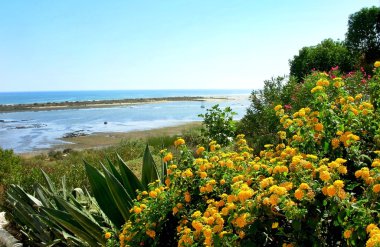 Yatay bölgenin algarve, Portekiz.